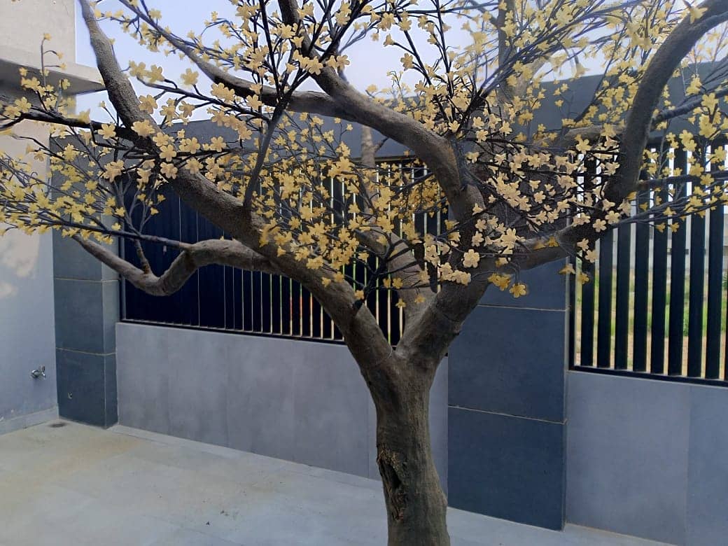 Brand New 20 Marla House for Sale in DHA Lahore 2