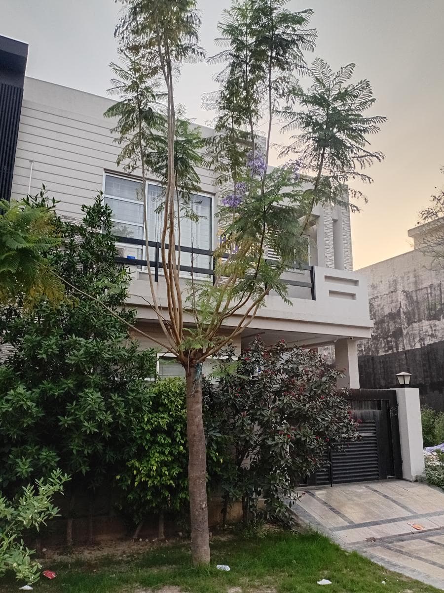 5 Marla Used House for sale in DHA, Lahore | TL-2516 Slide 1